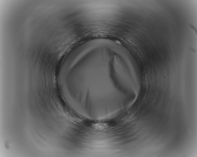 X0000099950508200806131450