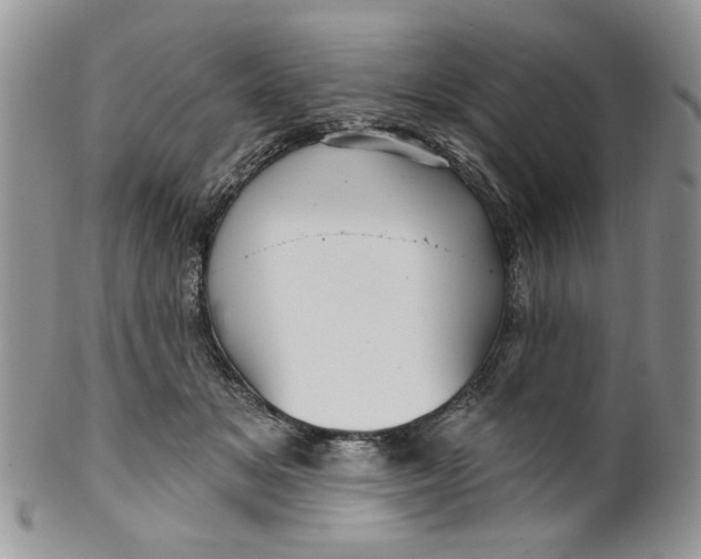 X0000099950509200806131450