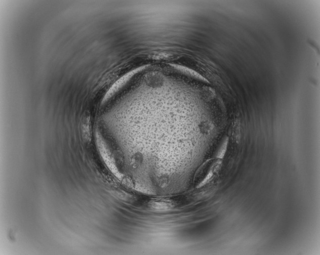 X0000099950510200806131450