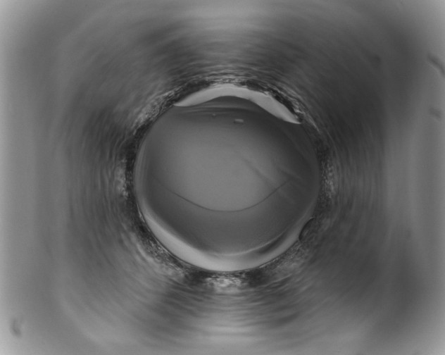 X0000099950512200806131450