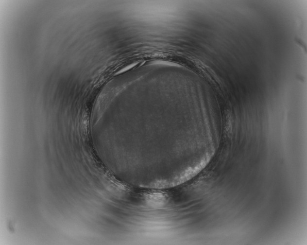 X0000099950513200806131450