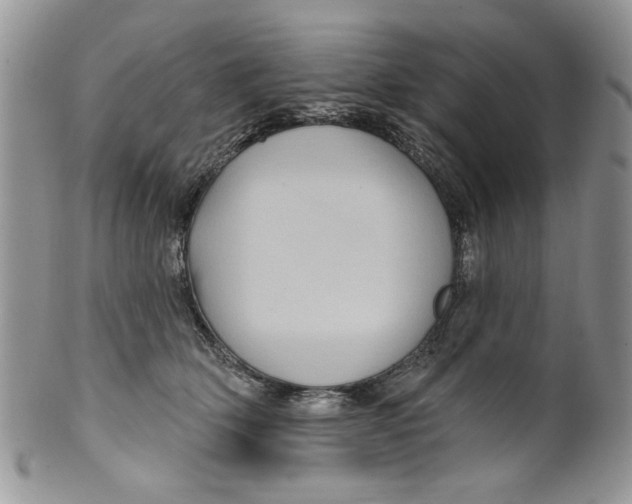 X0000099950514200806131450