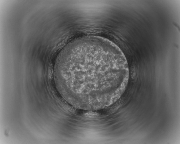 X0000099950515200806131450