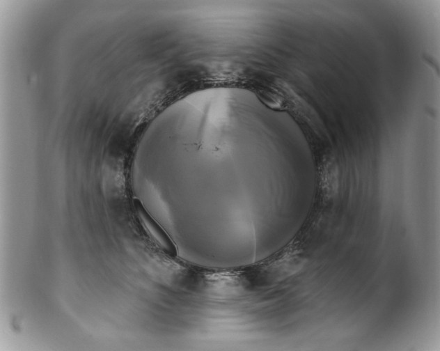X0000099950516200806131450