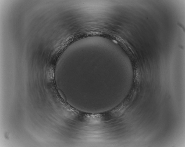 X0000099950517200806131450