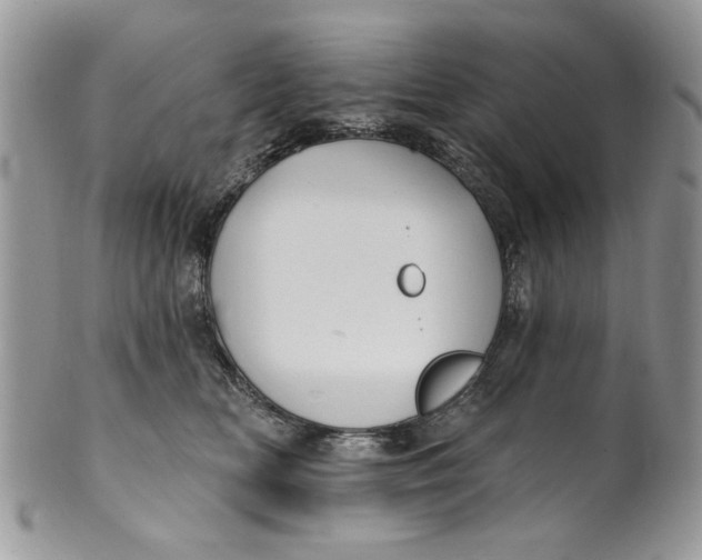 X0000099950518200806131450