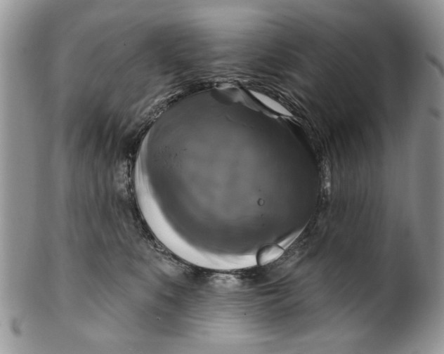 X0000099950519200806131450