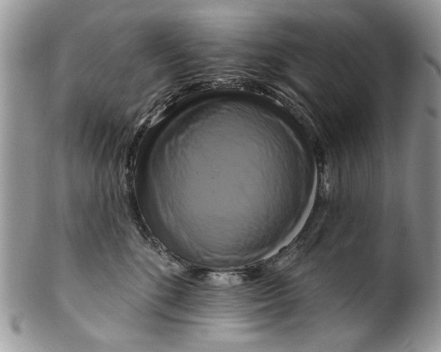 X0000099950520200806131450