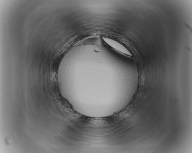 X0000099950521200806131450