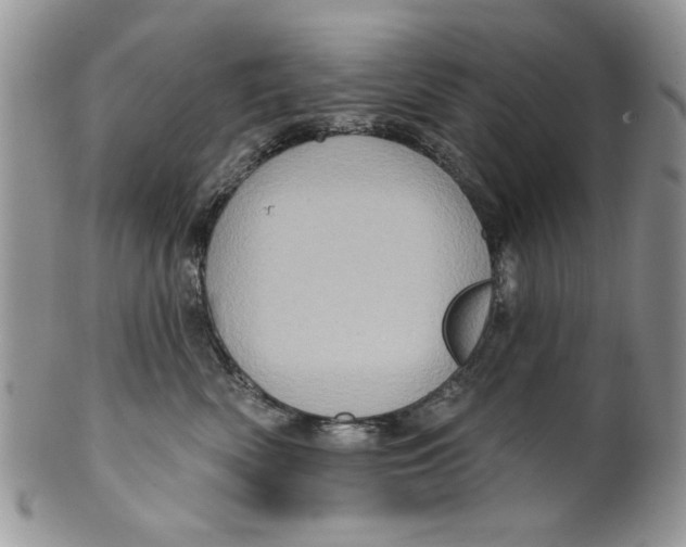 X0000099950522200806131450