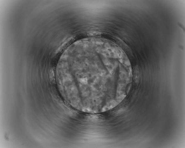 X0000099950523200806131450