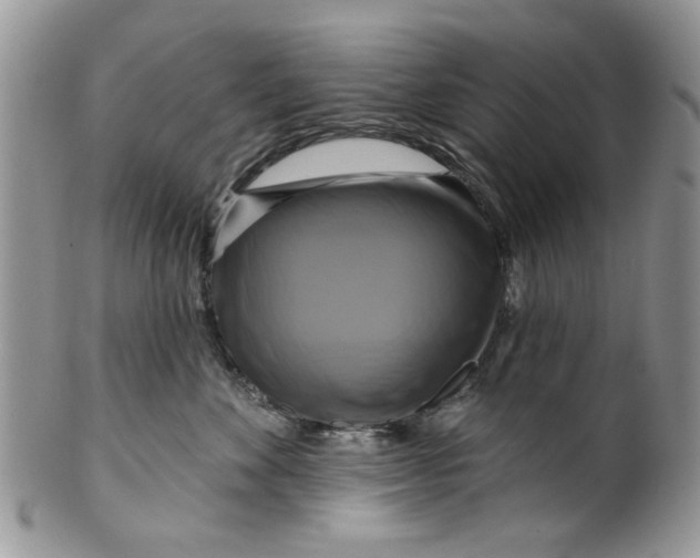X0000099950524200806131450