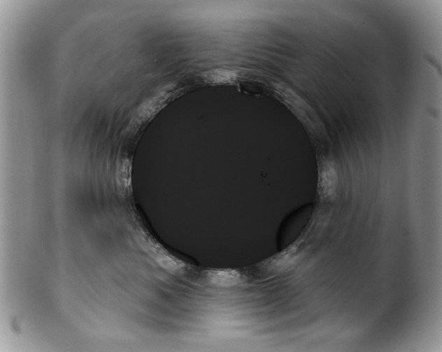 X0000099950525200806131450