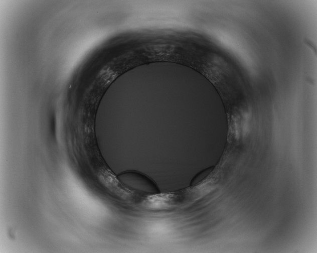 X0000099950526200806131450