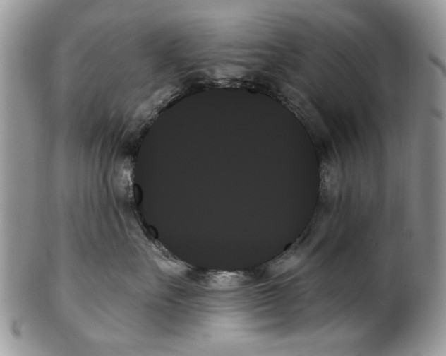 X0000099950527200806131450