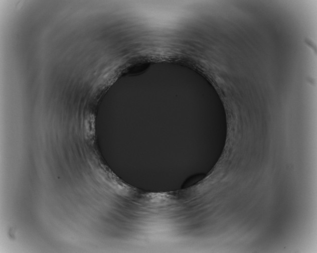 X0000099950528200806131450