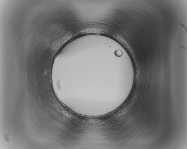 X0000099950529200806131449