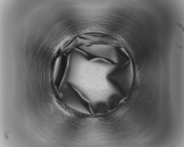 X0000099950530200806131449