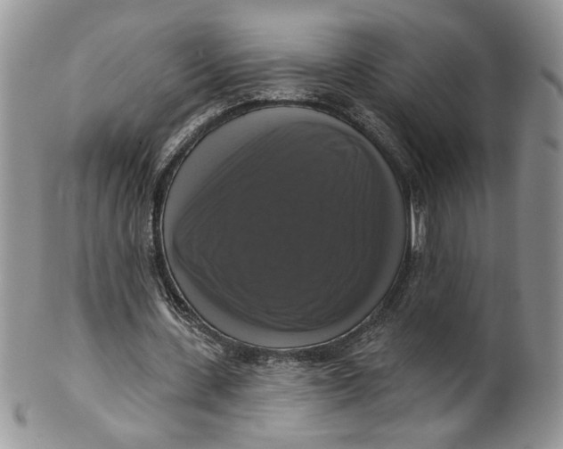 X0000099950531200806131449