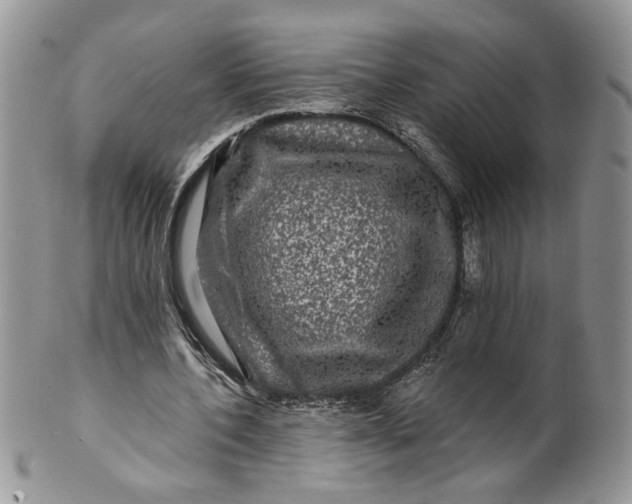 X0000099950532200806131449