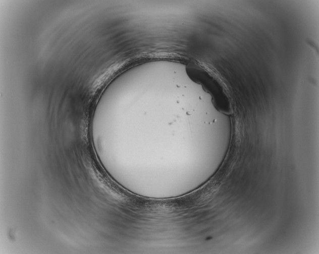 X0000099950533200806131449