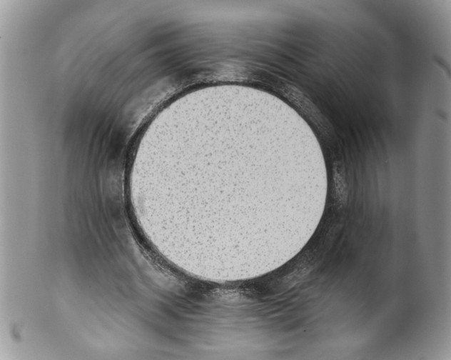 X0000099950534200806131449