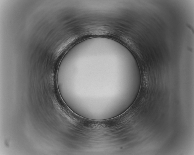 X0000099950535200806131449