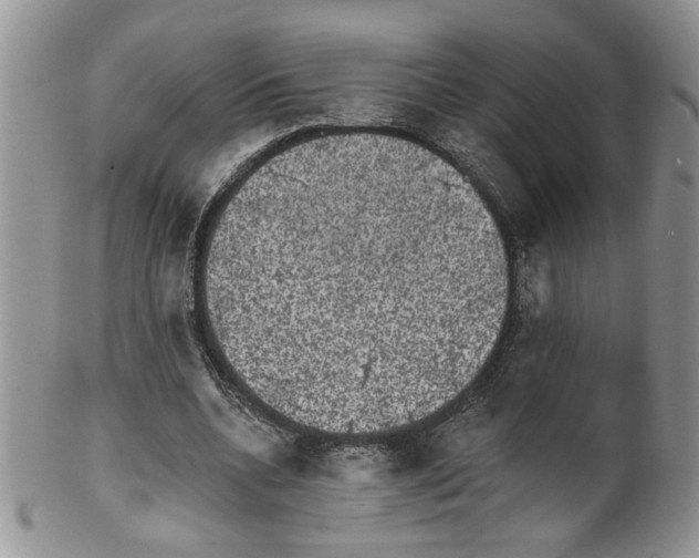 X0000099950536200806131449