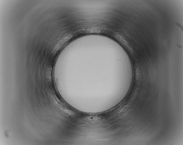 X0000099950537200806131449