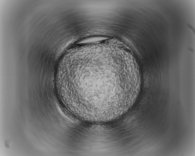 X0000099950538200806131449