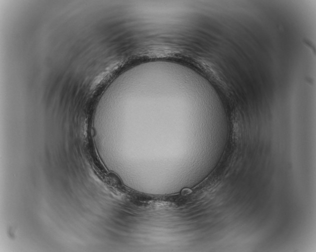 X0000099950539200806131449