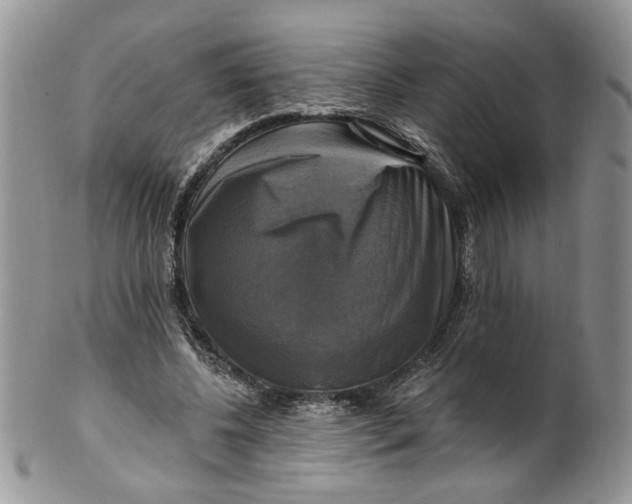 X0000099950540200806131449