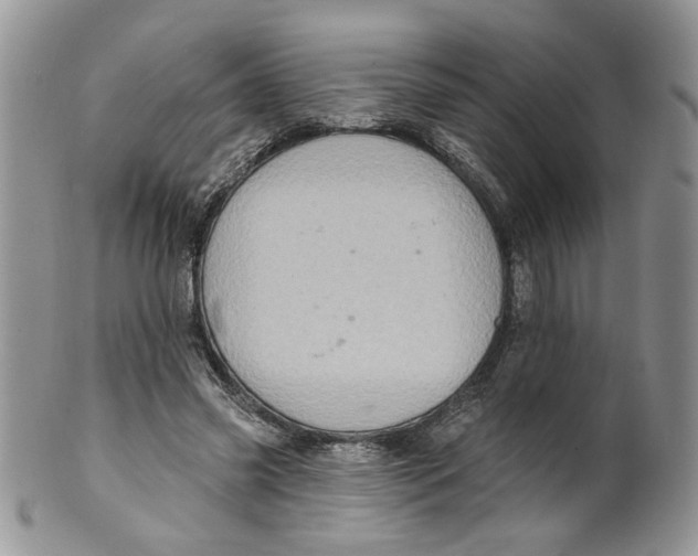 X0000099950541200806131449