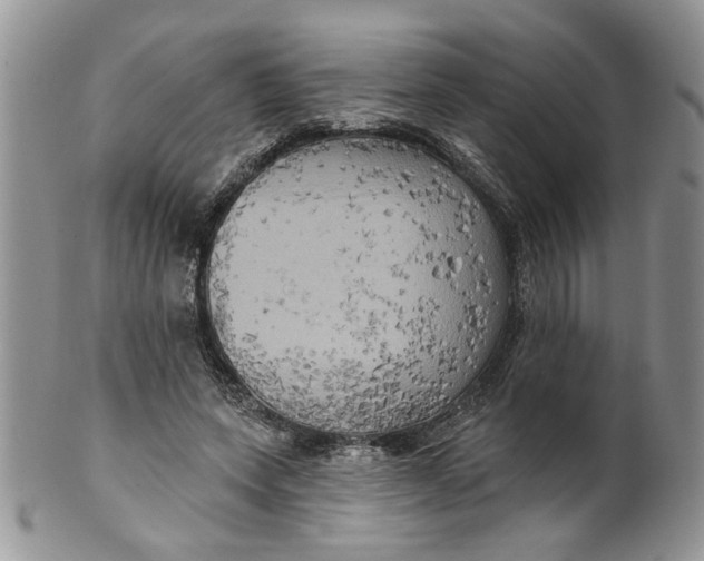 X0000099950543200806131449