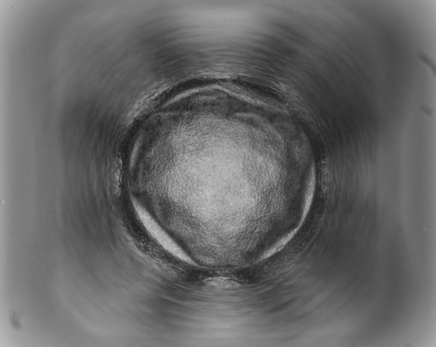 X0000099950544200806131449