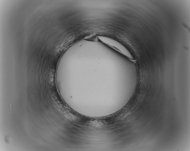 X0000099950545200806131450