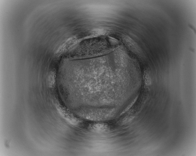 X0000099950546200806131450