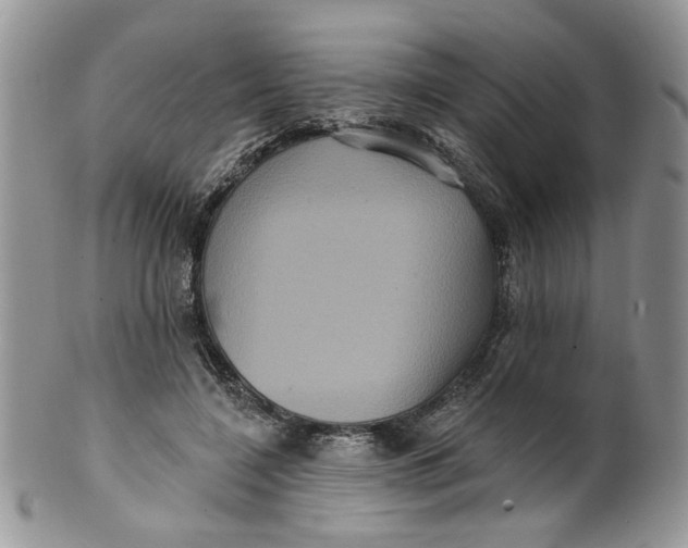 X0000099950548200806131450