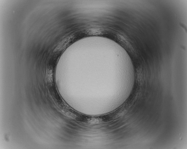 X0000099950549200806131450