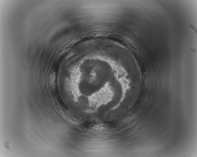 X0000099950550200806131450