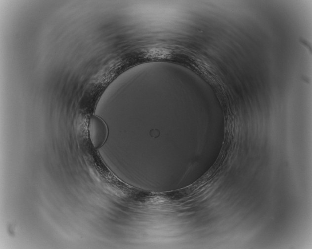 X0000099950551200806131450