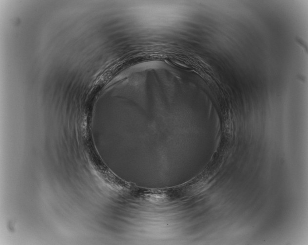 X0000099950552200806131450