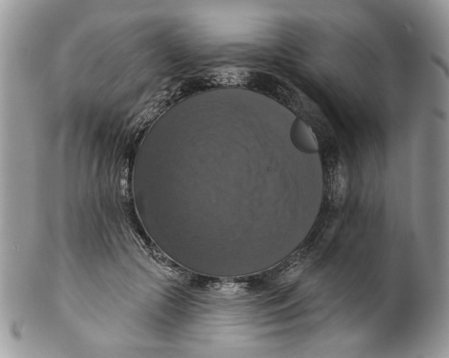 X0000099950553200806131450