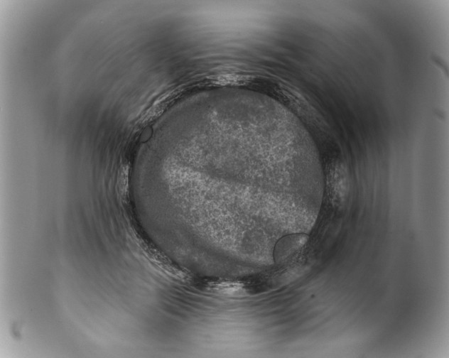 X0000099950554200806131450