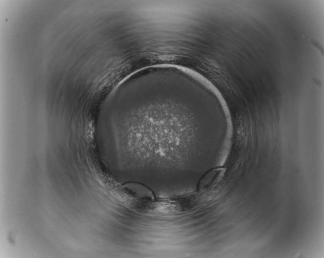 X0000099950555200806131450