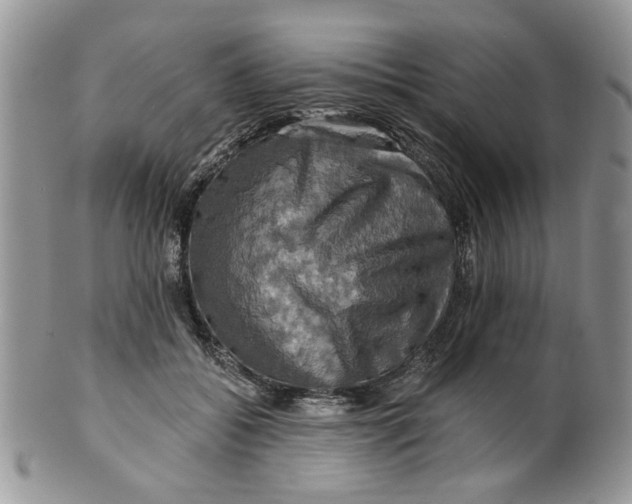 X0000099950556200806131450