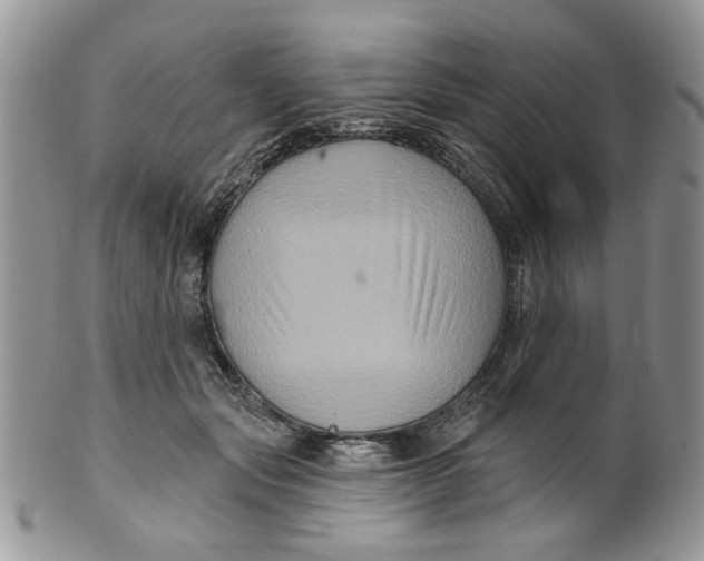 X0000099950557200806131450