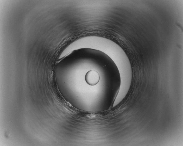 X0000099950558200806131450