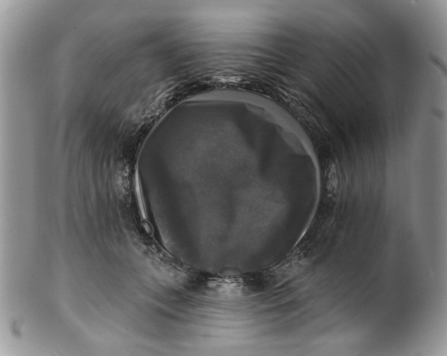 X0000099950559200806131450