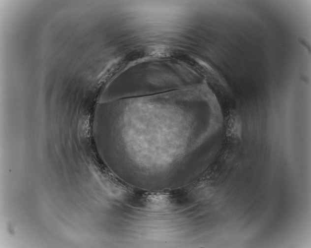 X0000099950560200806131450